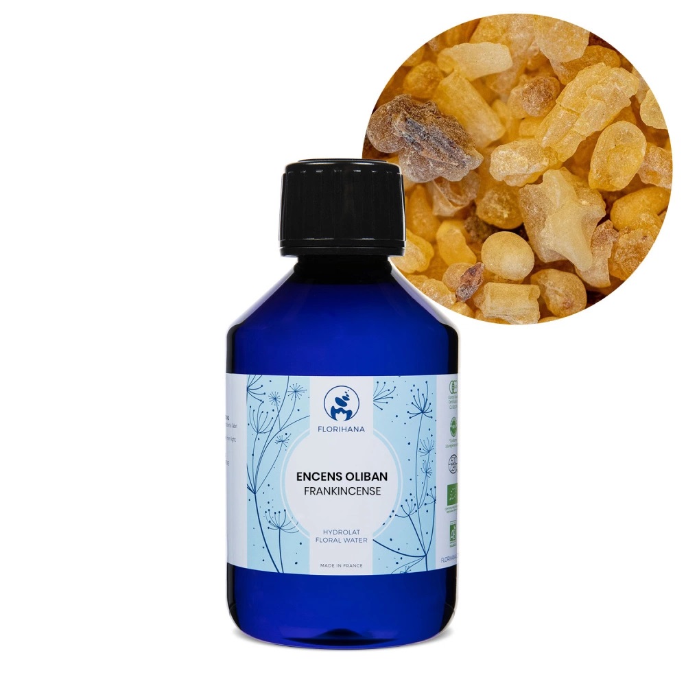 Frankincense viirukipuu