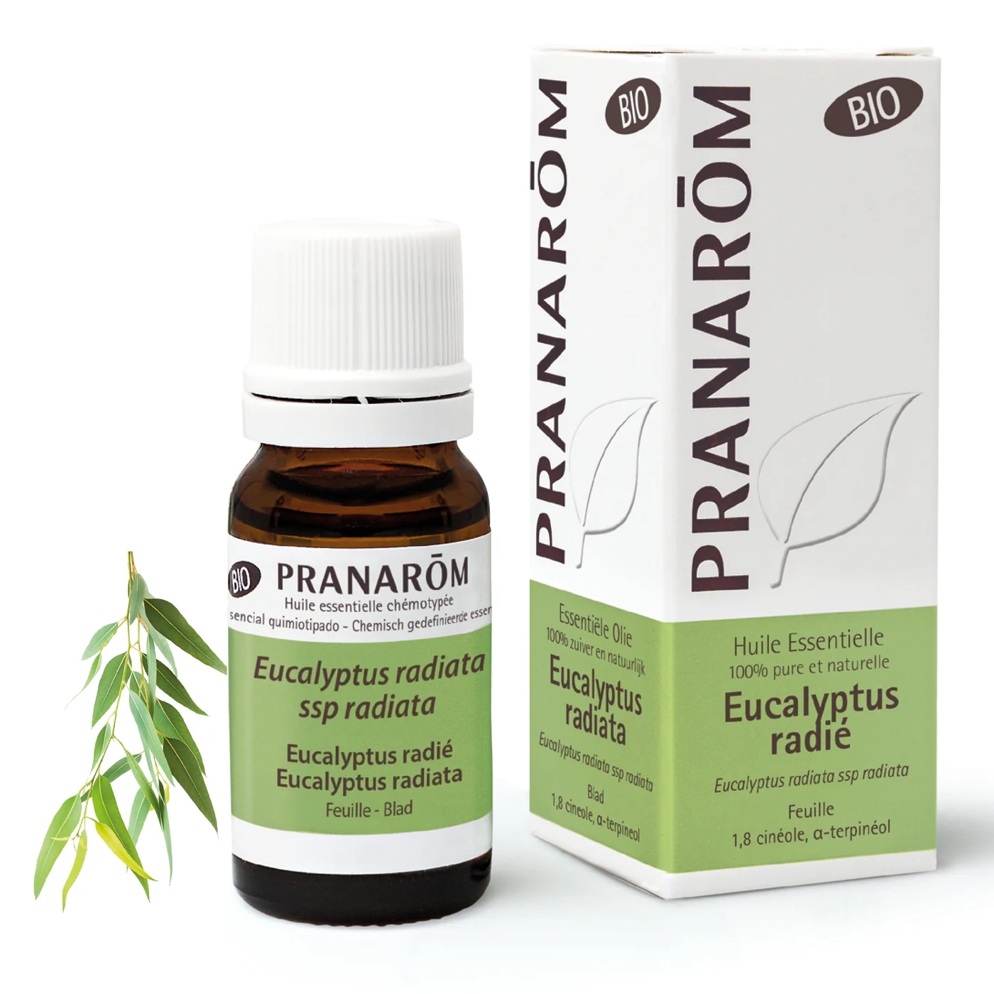 hebio-frnl20-eucalyptus-radie-eucalyptus_radiata-10ml-pranarom-01